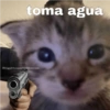 😽Animalitos Anti-depresivos 2 8