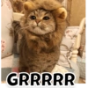 GRRRRR