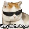 😎 Memes Mix Favoritos 🥵🤙 1 6