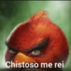 Chipos 🥵👎 13