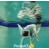 El paquete pro 18