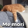 Me morí