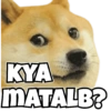 Dog Memes 6
