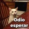Odio
esperar