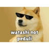 Kocheng&doge slebewww 16