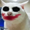 Serious Cat 9