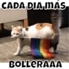 CADA DIA MAS
BOLLERAAA