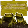 Animales de la Amazonia  V1 8