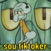 sou tiktoker