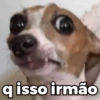 q isso irmão