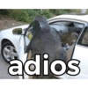 adios