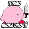 Kirby 30