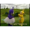 Ah é gata? Parabens viu
