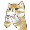 Abel's cat 1 20