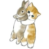 Abel's cat 1 26