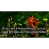 Indireta 22