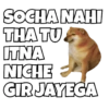 Dogesh & Cheemas 14
