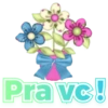 Pacote dez junho 17