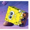 Sponge Bob 24