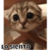 LO SIENTO
