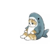 Abel's cat 1 7