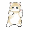 Abel's cat 1 28