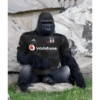 ourk
Ovodafone