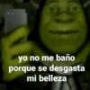 yo no me baño
porque se desgasta
mi belleza