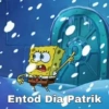 96
Entod Dia Patrik