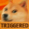 Kocheng&doge slebewww 8