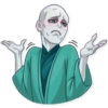 Voldemort Harry Potter 20