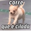 corre
que é cilada