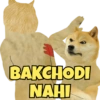 Cheems & Dogesh 4