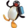 Pingu 🐧 O&M 13