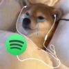 Dogesh & Cheemas 8