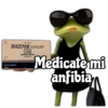 Memes Misceláneos 2⭐ 16