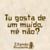 Citando Paraibanês 4 28