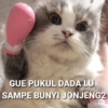 Kucing ini ramah!!! 17