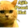 Ajib Prani Hai