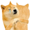 Dogesh & Cheemas 17
