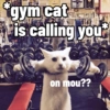 Meow Pi Miew 13