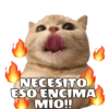 Michis hot 11