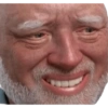 MEMES HAROLD THE PAIN 29