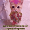 🐱🐾🐈 Cats lV  🐈🐾🐱 10