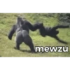 mewzu