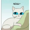NOUU