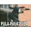 PULA PULA PULA