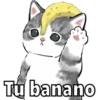Gatitos 6