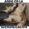 ANDO en LA
ALCOHOLIZACION