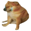 MEMES 1 13